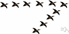 formation - an arrangement of people or things acting as a unit