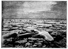 pack ice - a large expanse of floating ice