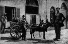 Sardinian - a native or inhabitant of Sardinia