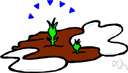 auxin - a plant hormone that promotes root formation and bud growth