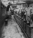 second deck - the uppermost sheltered deck that runs the entire length of a large vessel