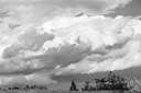 altostratus