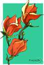 manglietia - a genus of flowering tree of the family Magnoliaceae found from Malay to southern China