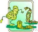 Actinomycetaceae - filamentous anaerobic bacteria