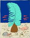 sea feather
