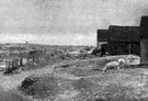 Skaw - a cape on the northernmost tip of Jutland between the Skagerrak and the Kattegatt