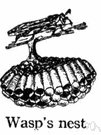 hornet's nest - habitation for wasps or hornets