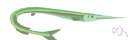 needlefish - elongate European surface-dwelling predacious fishes with long toothed jaws