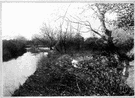 Tyne River - a river in northern England that flows east to the North Sea