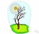 angiospermous tree - any tree having seeds and ovules contained in the ovary