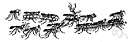 army ant - tropical nomadic ant that preys mainly on other insects