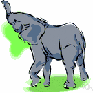 trunk - a long flexible snout as of an elephant