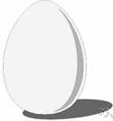 egg - animal reproductive body consisting of an ovum or embryo together with nutritive and protective envelopes