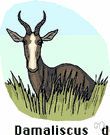 genus Damaliscus - African antelopes: sassabies