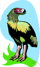 bird of prey - any of numerous carnivorous birds that hunt and kill other animals