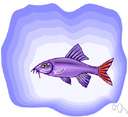 Sea catfish - any of numerous marine fishes most of which are mouthbreeders