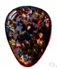 opal - a translucent mineral consisting of hydrated silica of variable color