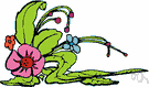 garden pink - any of various flowers of plants of the genus Dianthus cultivated for their fragrant flowers