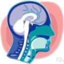 Arnold-Chiari deformity - deformity in which part of the brain protrudes through the skull