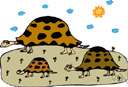 reptile family