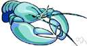 European lobster