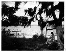 Mobile Bay - a bay of the Gulf of Mexico