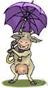 umbrellalike