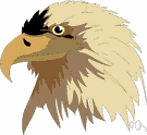 eagle - any of various large keen-sighted diurnal birds of prey noted for their broad wings and strong soaring flight