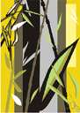graminaceous plant