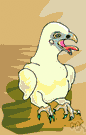 eaglet - a young eagle