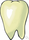 tooth enamel - hard white substance covering the crown of a tooth