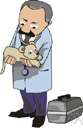 veterinary - of or relating to veterinarians or veterinary medicine