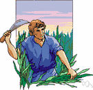 agriculture - the practice of cultivating the land or raising stock