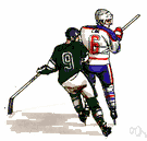 ice hockey rink - an ice rink for playing ice hockey
