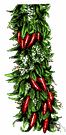 Chile - very hot and finely tapering pepper of special pungency