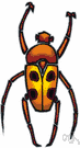 Scarabaeidae - scarab or dung beetles
