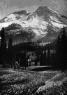 Ranier - a mountain peak in central Washington