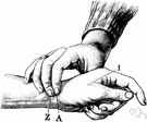 prehension - the act of gripping something firmly with the hands (or the tentacles)