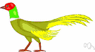 game bird - any bird (as grouse or pheasant) that is hunted for sport
