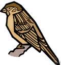 sparrow - any of several small dull-colored singing birds feeding on seeds or insects