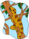 tree lizard