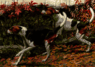 English foxhound - an English breed slightly larger than the American foxhounds originally used to hunt in packs