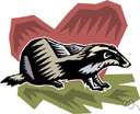 Arctonyx collaris - southeast Asian badger with a snout like a pig