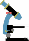microscope stage - a small platform on a microscope where the specimen is mounted for examination