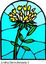 Anthyllis - genus of Mediterranean herbs and shrubs