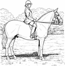 riding habit - attire that is typically worn by a horseback rider (especially a woman's attire)