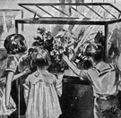 terrarium - a vivarium in which selected living plants are kept and observed