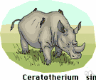 white rhinoceros - large light-grey African rhinoceros having two horns