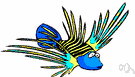 genus Pterois - lionfishes genus Pterois - lionfishes