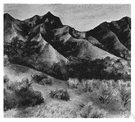 Department of the Interior - the United States federal department charged with conservation and the development of natural resources